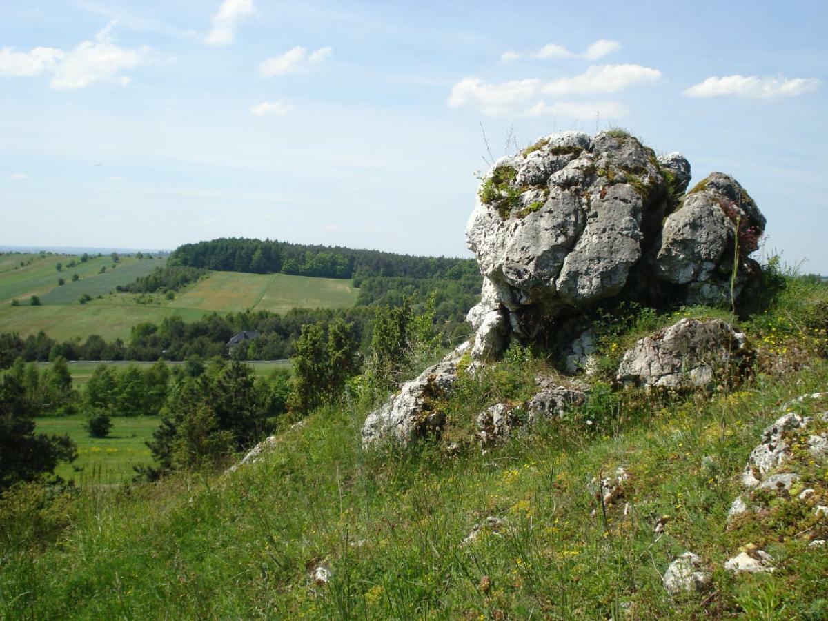 Villa Jura Pokoje Goscinne Zarki Exteriér fotografie