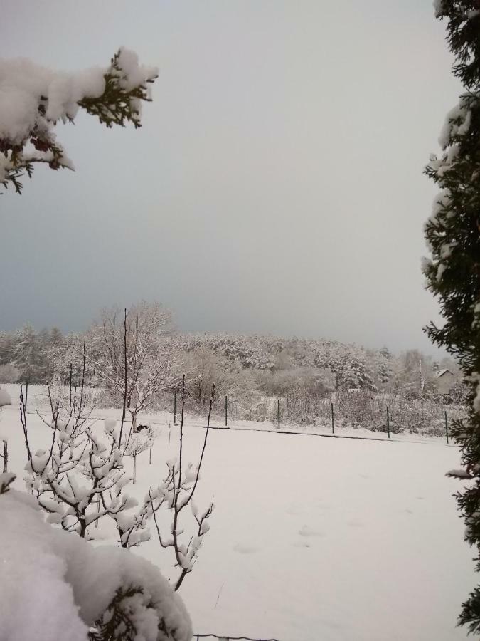 Villa Jura Pokoje Goscinne Zarki Exteriér fotografie